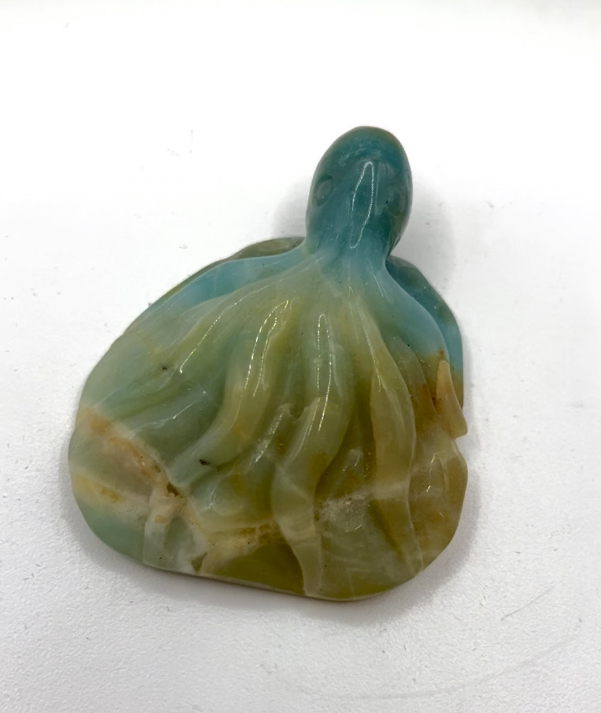 Caribbean Calcite Octopus Carving